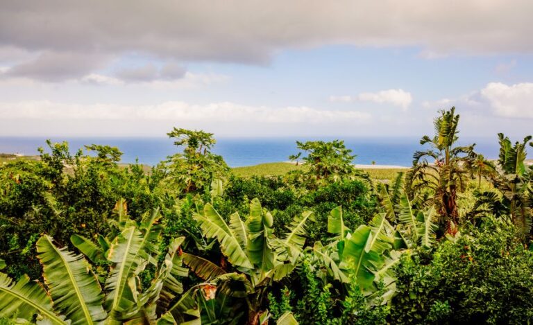 Top 5 Reasons to Visit Goa in March - Veera Group