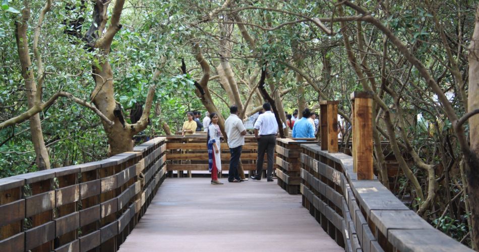 People exploring the Boardwalk in Panjim surrounded by lush Mangroves