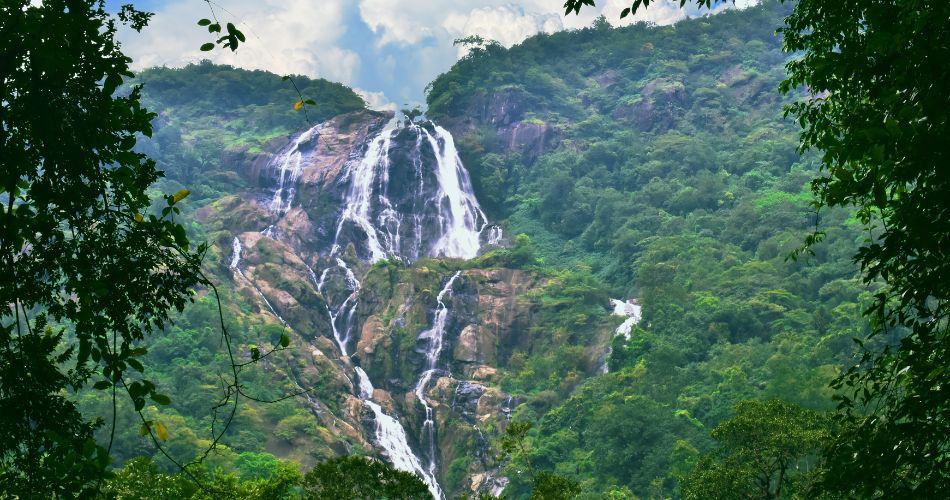 Breathtaking view of Dudhsagar Waterfall amidst lush foliage in Goa symbolising importance of eco-conscious living 